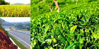 நிலச் சீர்திருத்த முயற்சி