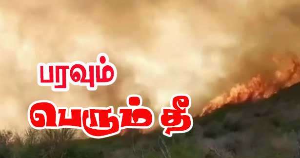 பரவலான தீ - முகாம்கள், பேருந்துப் பாதைகள் மூடப்பட்டன!