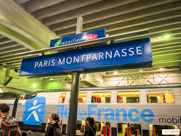 26 கிலோ கஞ்சாவுடன் Montparnasse நிலையத்தில் ஒருவர் கைது!