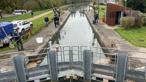 canal du Loing கால்வாயில் இருந்து மூன்று தொன் எடையுள்ள இறந்த மீன்கள் அகற்றம்!