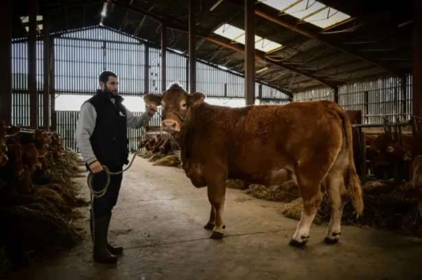 நாளை ஆரம்பமாகிறது Salon de l'agriculture!! (நீங்கள் அறிந்துகொள்ளவேண்டியவை)