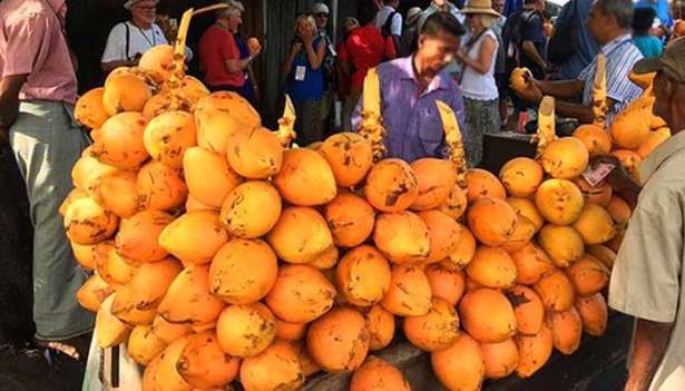 இலங்கையில் கடும் வெப்பநிலை - வேகமாக அதிகரிக்கும் இளநீர் விலை