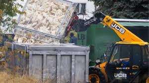 ஜெர்மனியில் வேகமாகப் பரவி வரும்  பறவைக் காய்ச்சல்