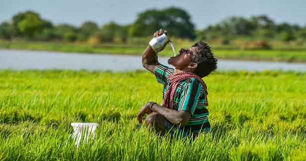 விவசாயி புலம்பல்