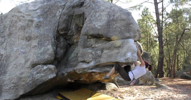 Fontainebleau காட்டில் உள்ள கல் உருவங்கள்!!